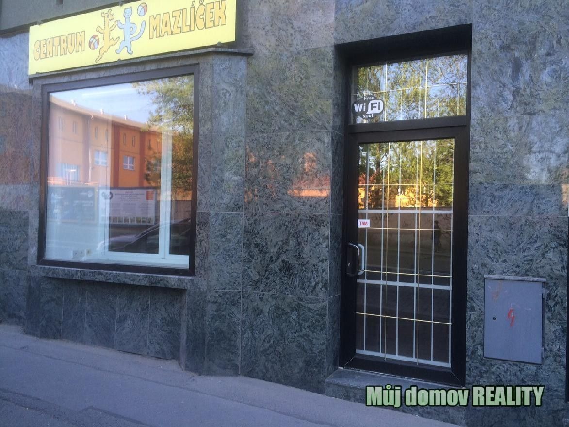 Pronájem komerčního prostoru 57 m² - foto 13