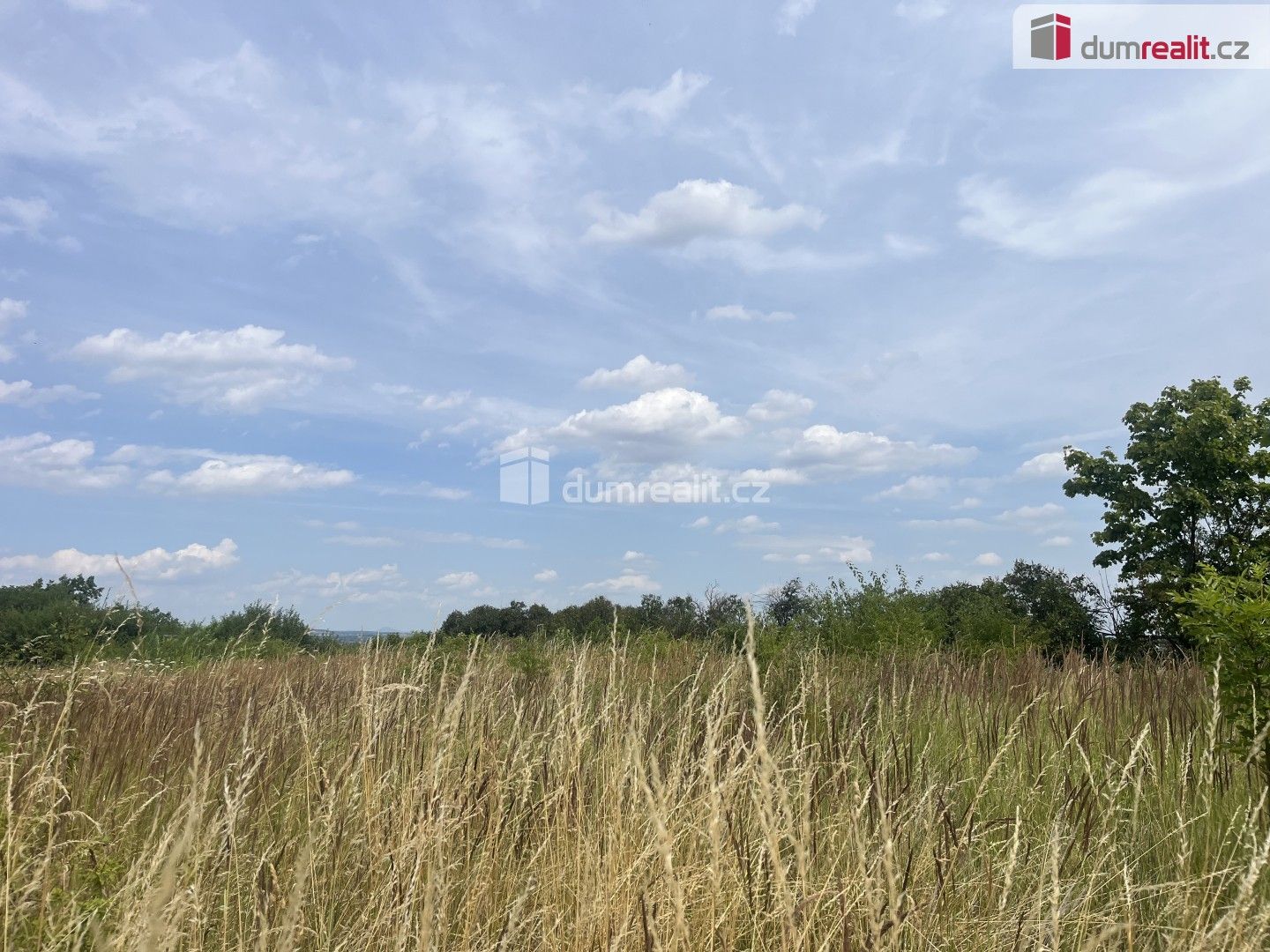 Prodej pozemku 2595 m² - foto 3