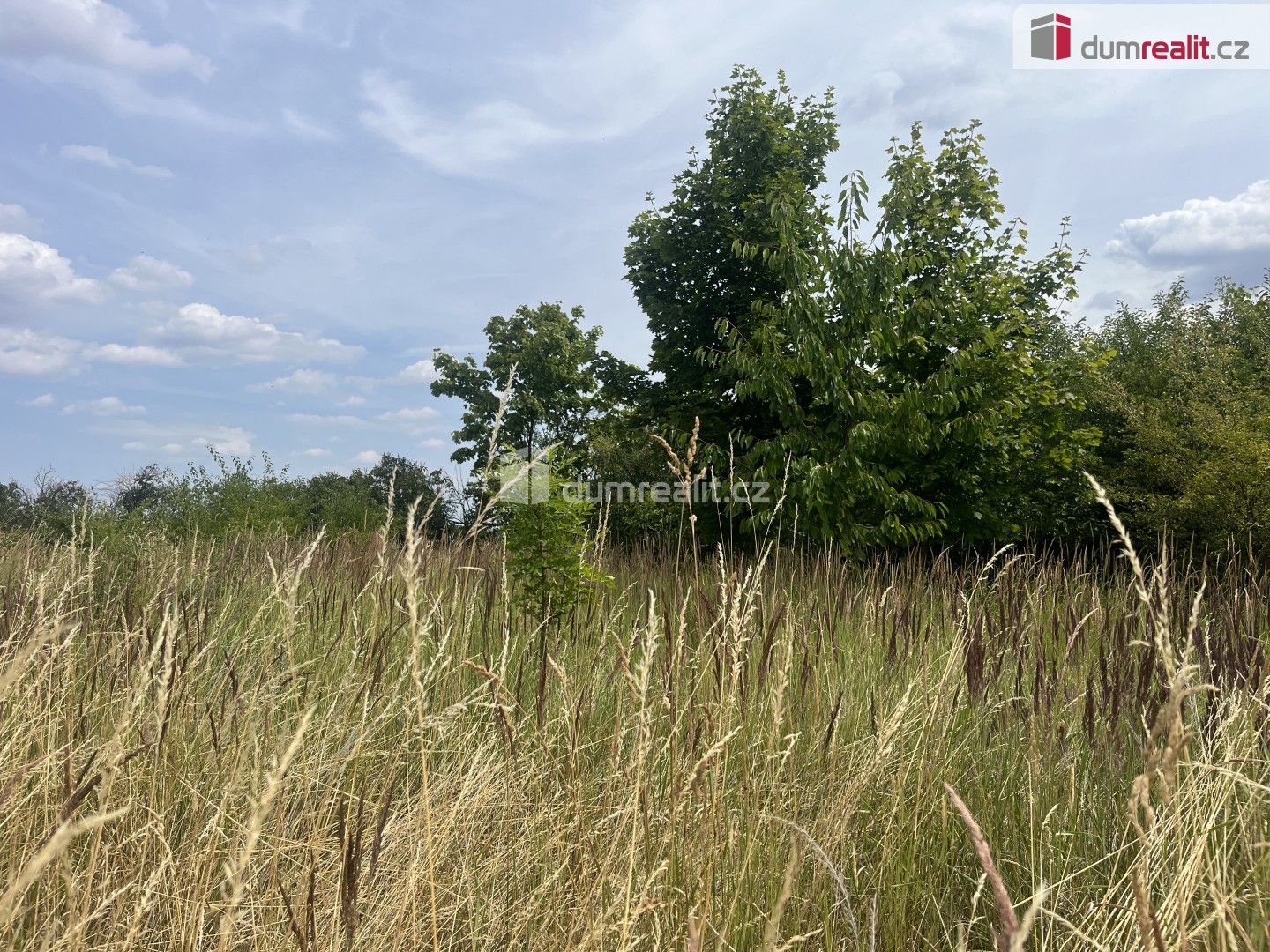 Prodej pozemku 2595 m² - foto 6