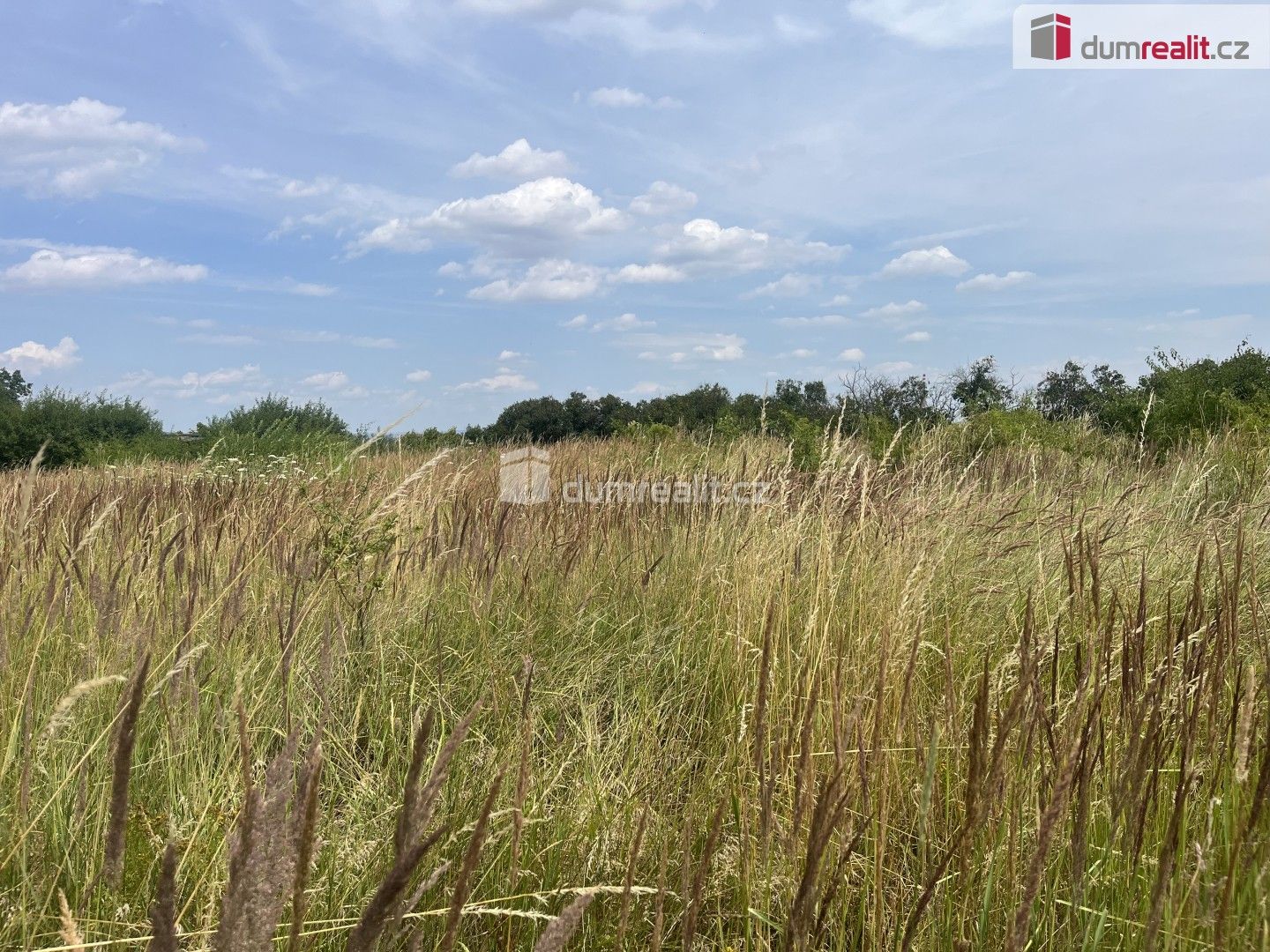 Prodej pozemku 2595 m² - foto 7
