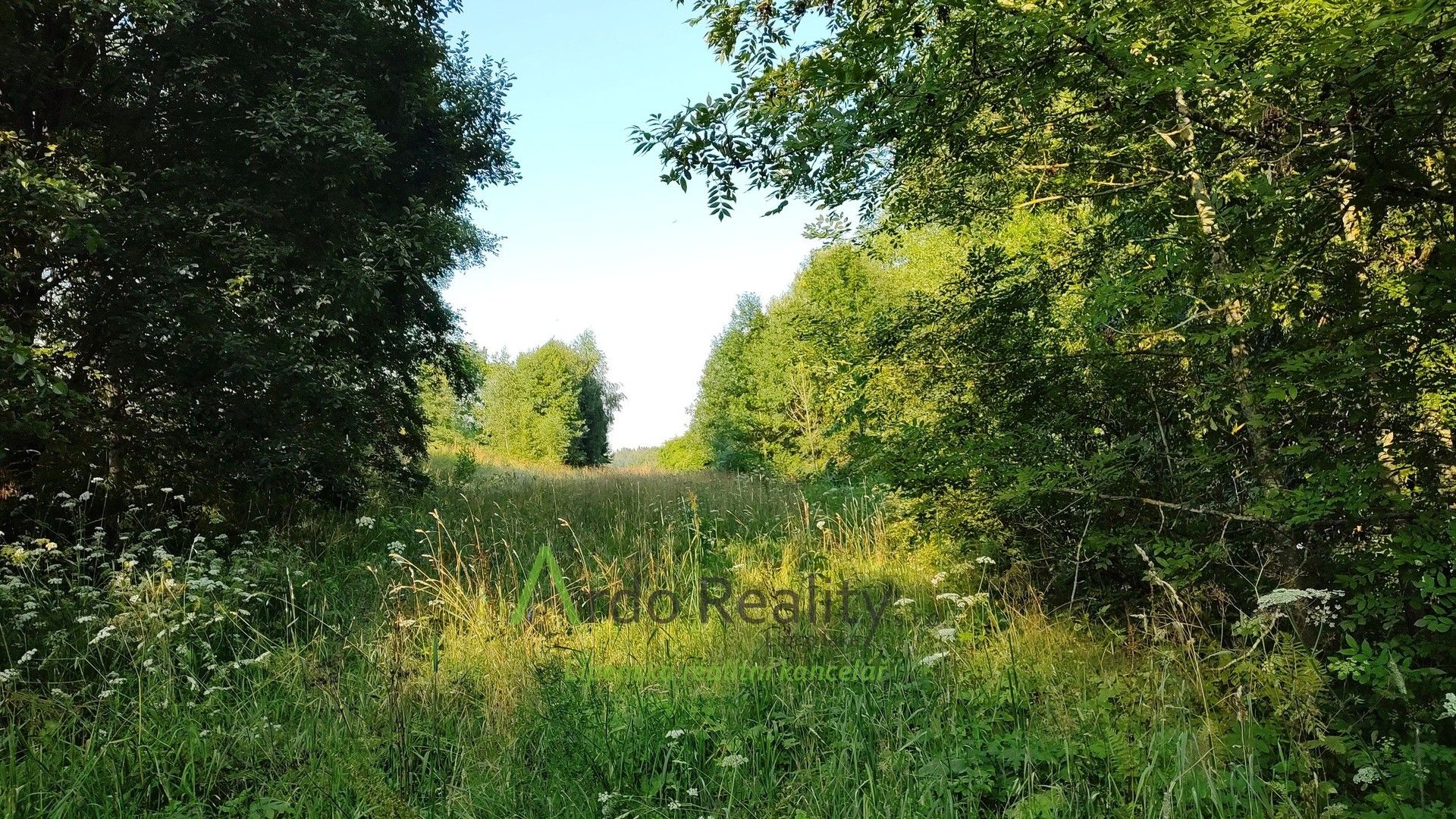 Prodej pozemku 2024 m² - foto 16