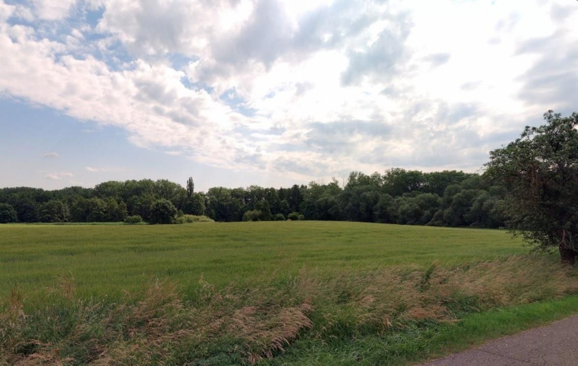 Prodej pozemku 4623 m² - foto 5