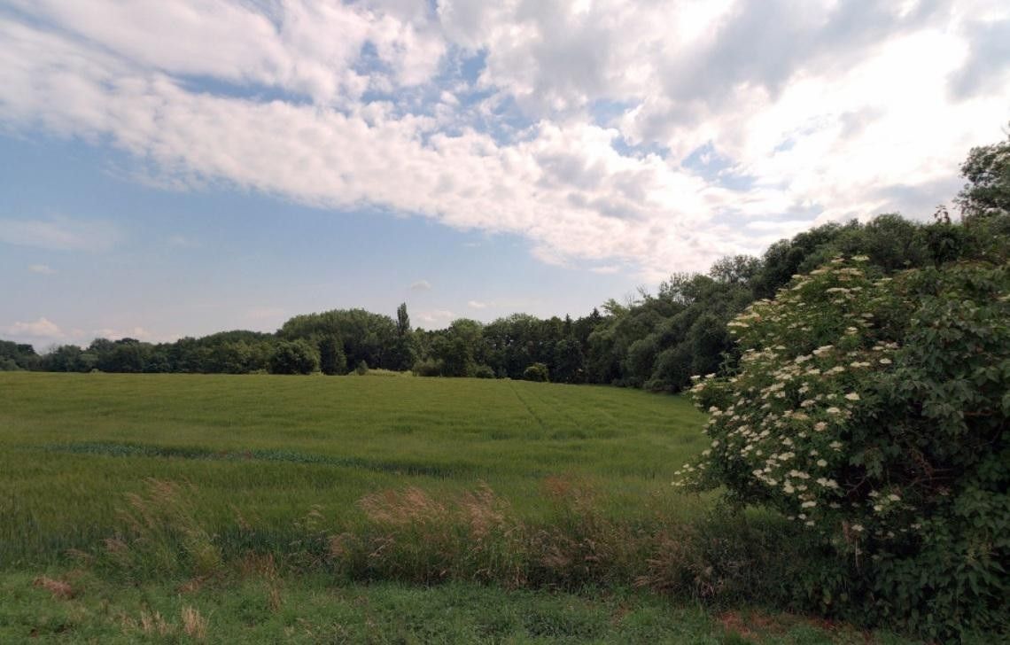 Prodej pozemku 4623 m² - foto 6