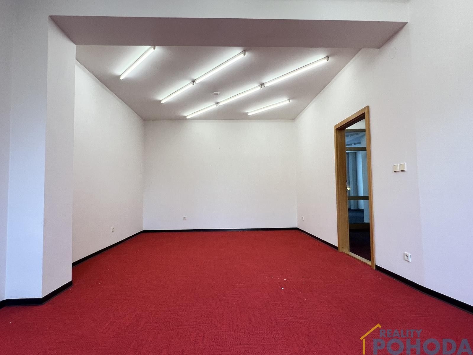 Pronájem nemovitosti 500 m² - foto 13