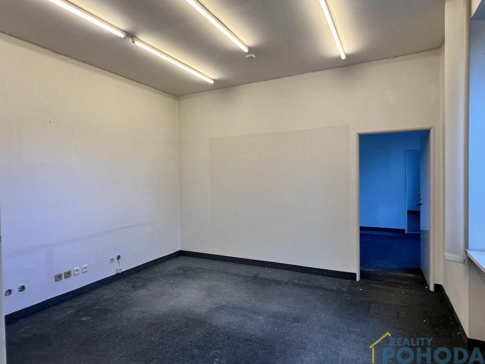 Pronájem nemovitosti 500 m² - foto 21