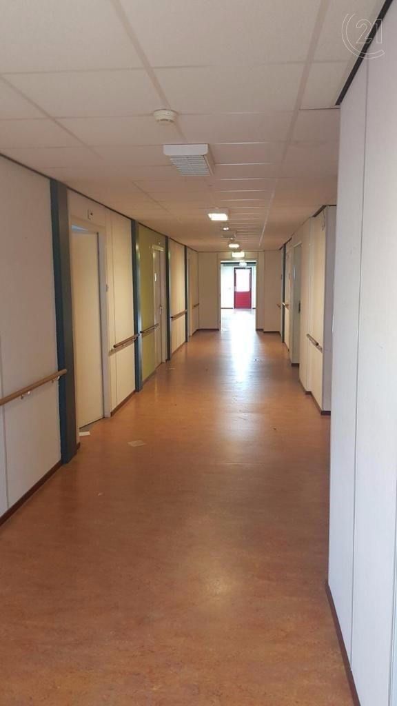 Prodej komerčního prostoru 2000 m² - foto 5