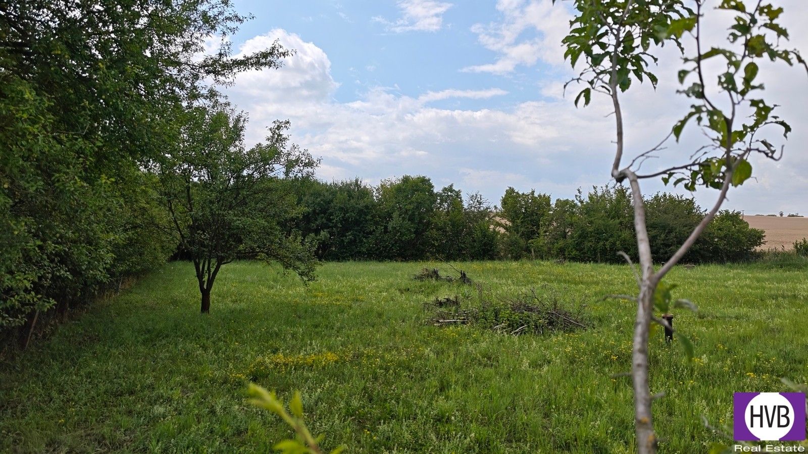 Prodej pozemku 1000 m² - foto 1