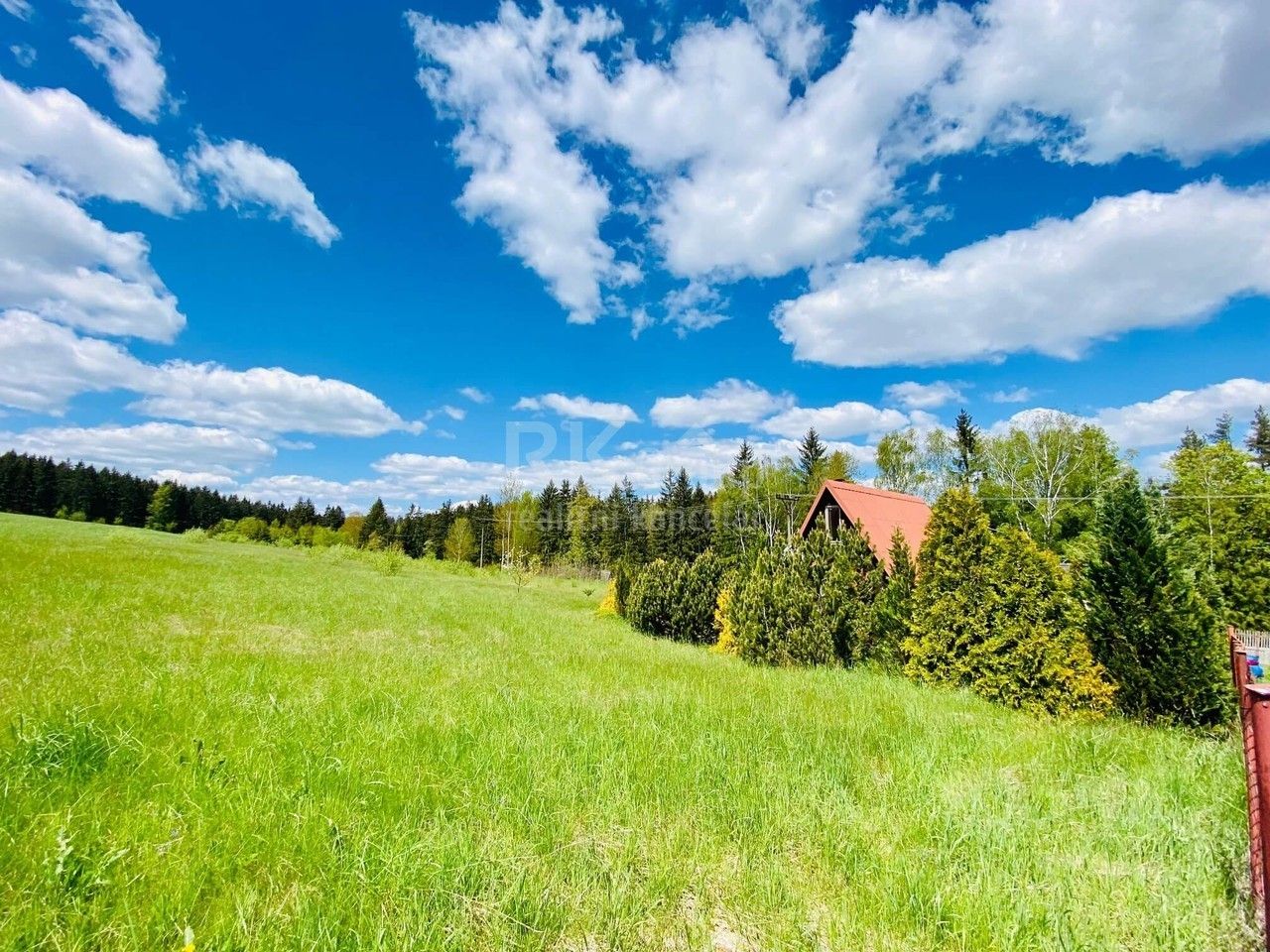 Prodej pozemku 2300 m² - foto 3