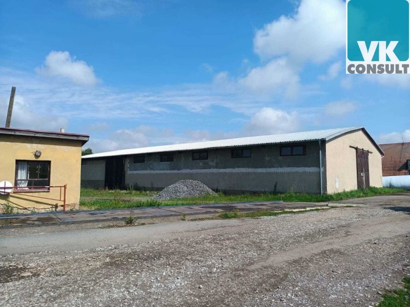 Pronájem komerčního prostoru 800 m² - foto 8