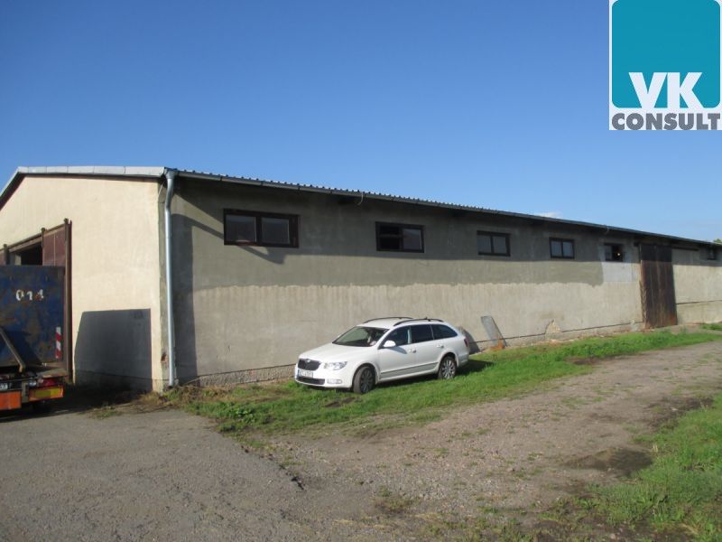 Pronájem komerčního prostoru 800 m² - foto 9