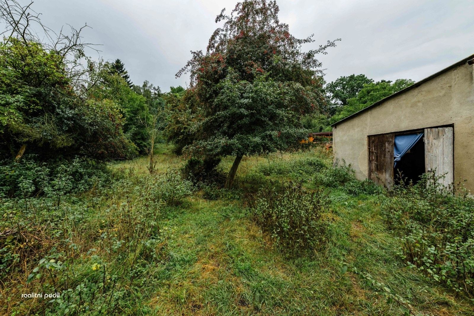 Prodej nemovitosti 369 m² - foto 17