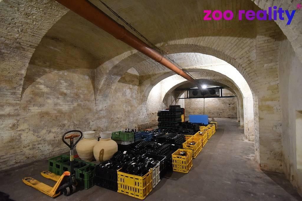 Prodej komerčního prostoru 657 m² - foto 7