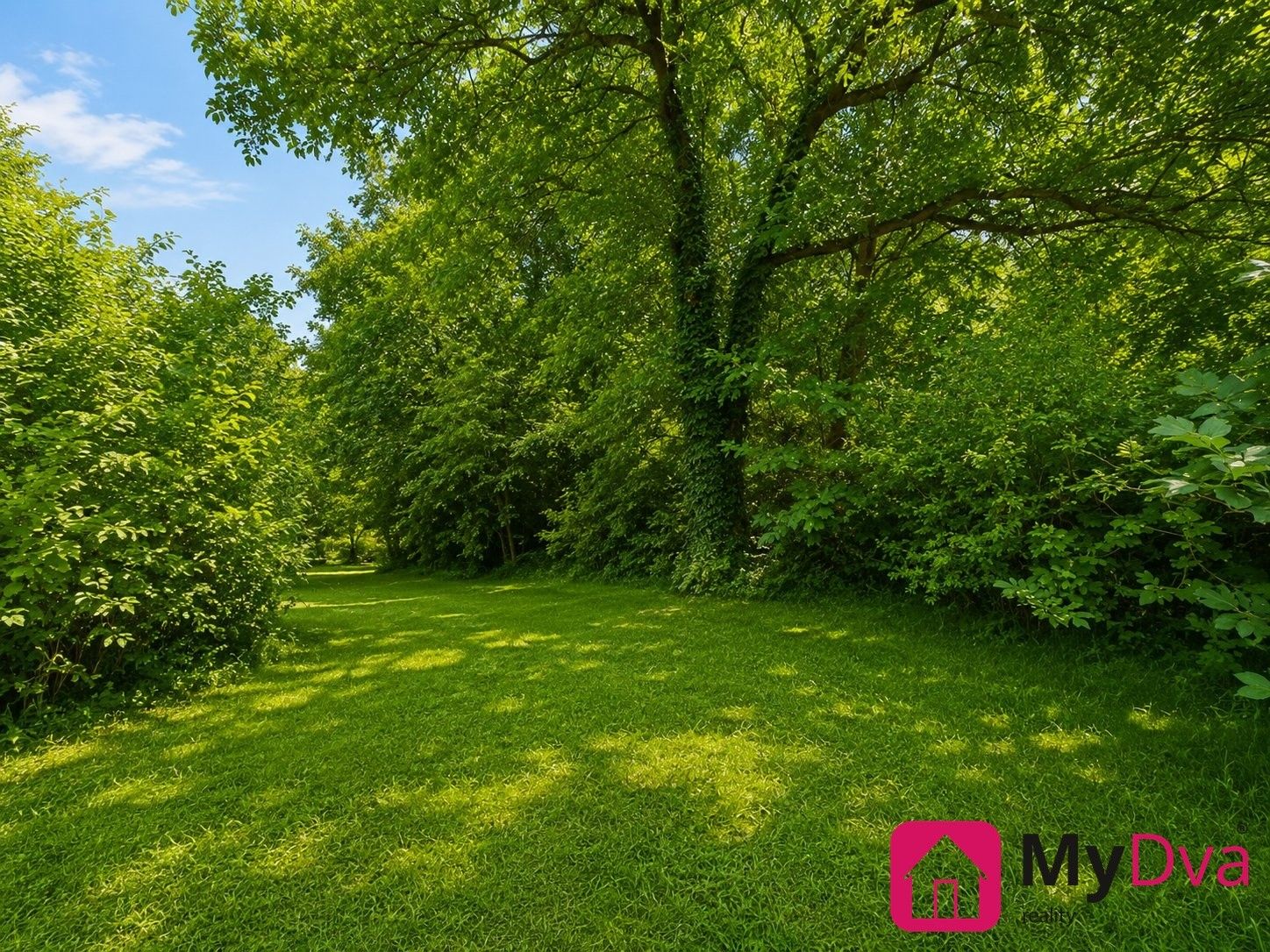 Prodej pozemku 1465 m² - foto 5