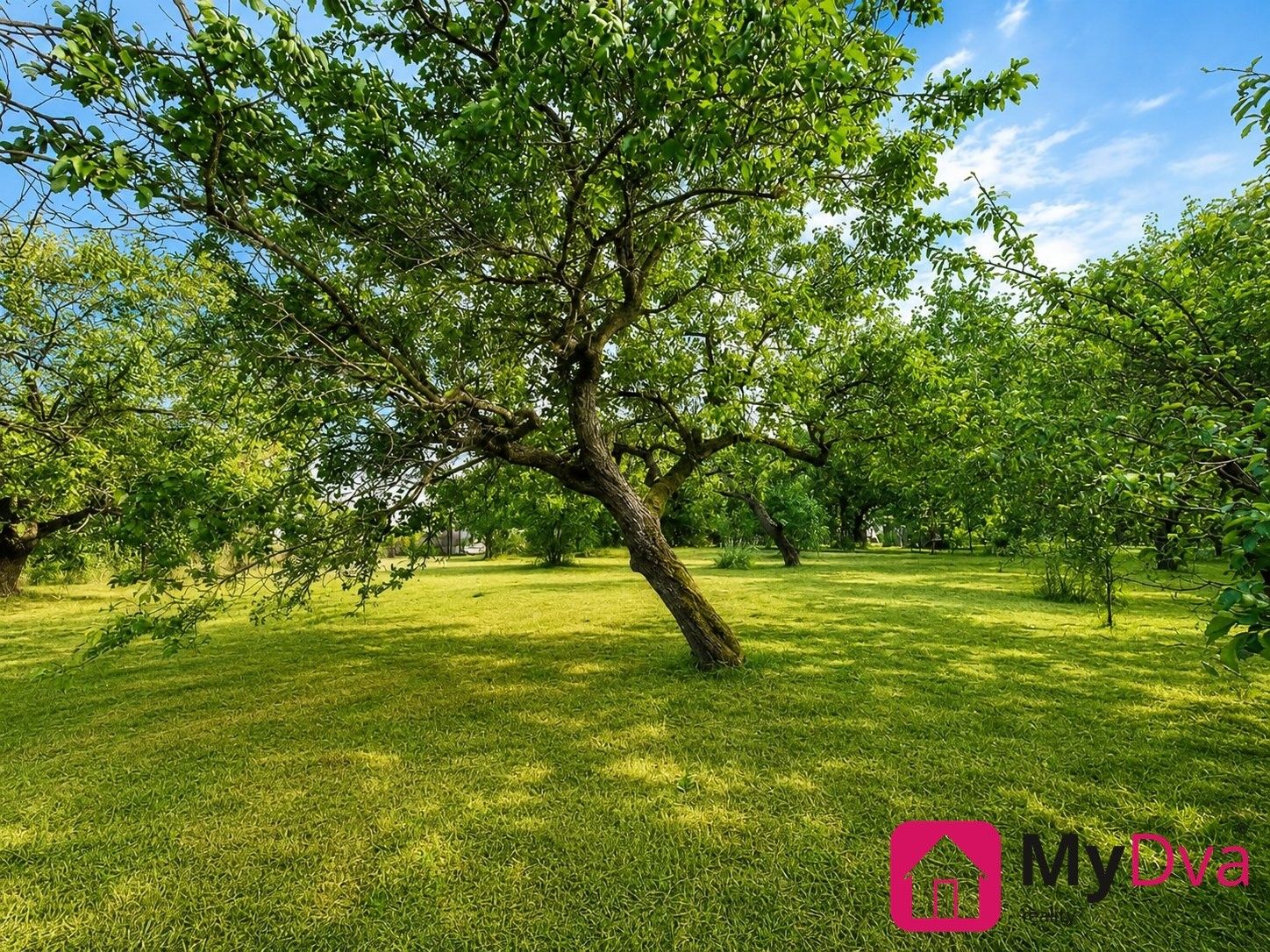 Prodej pozemku 1465 m² - foto 4