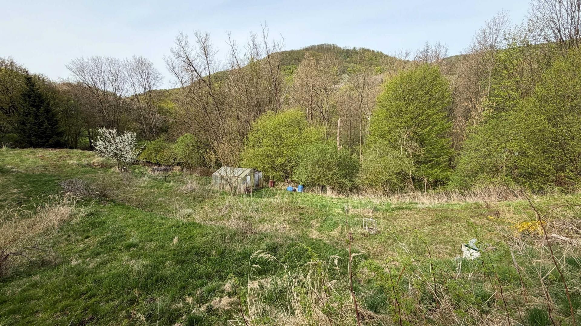 Prodej pozemku 3175 m² - foto 5