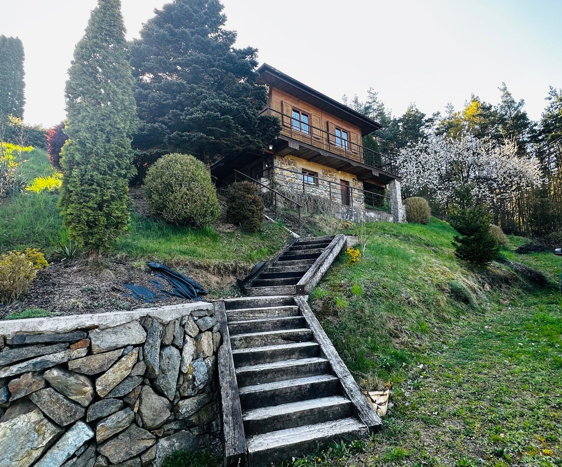 Prodej pozemku 3706 m² - foto 4