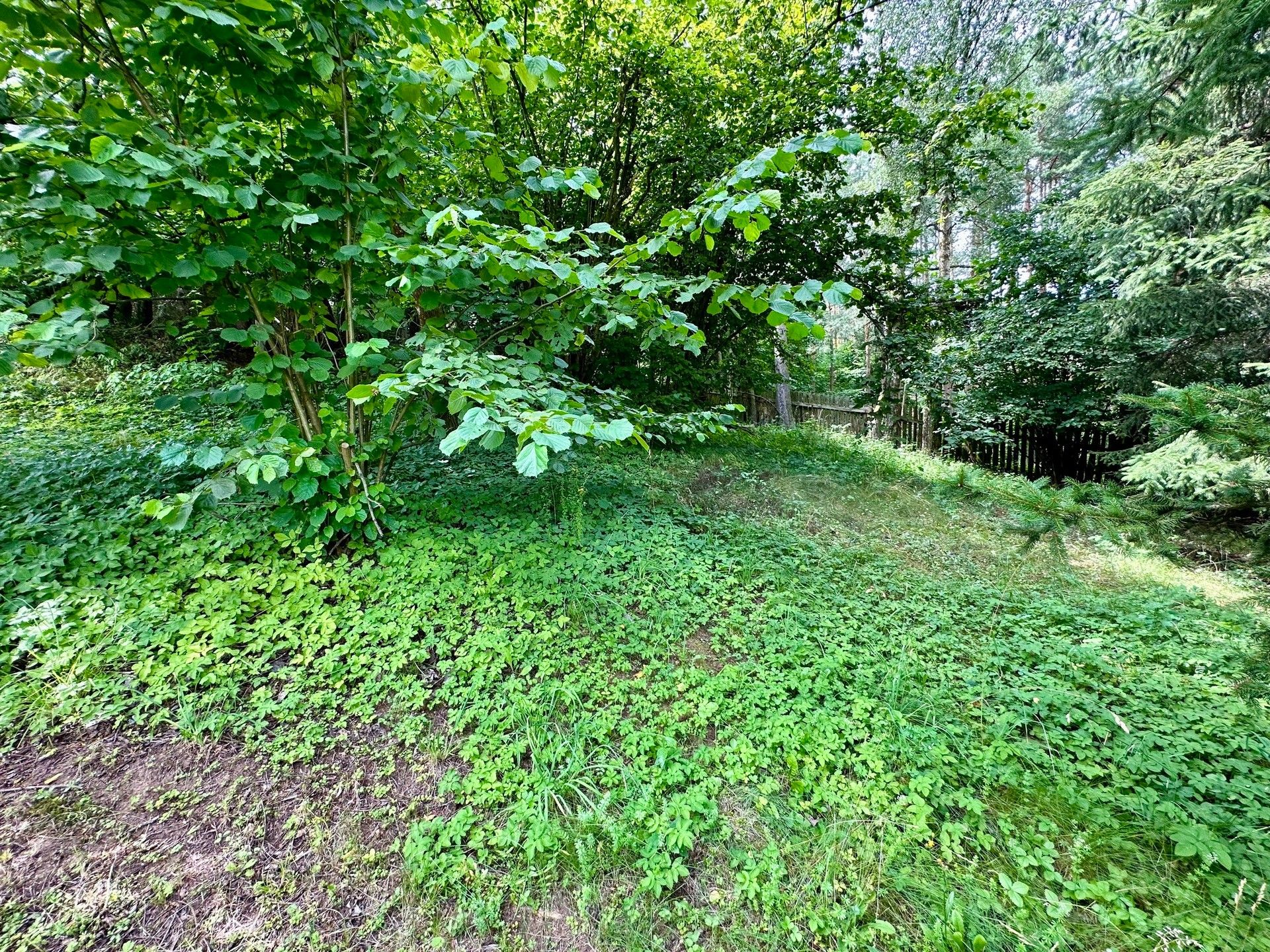 Prodej pozemku 3706 m² - foto 22