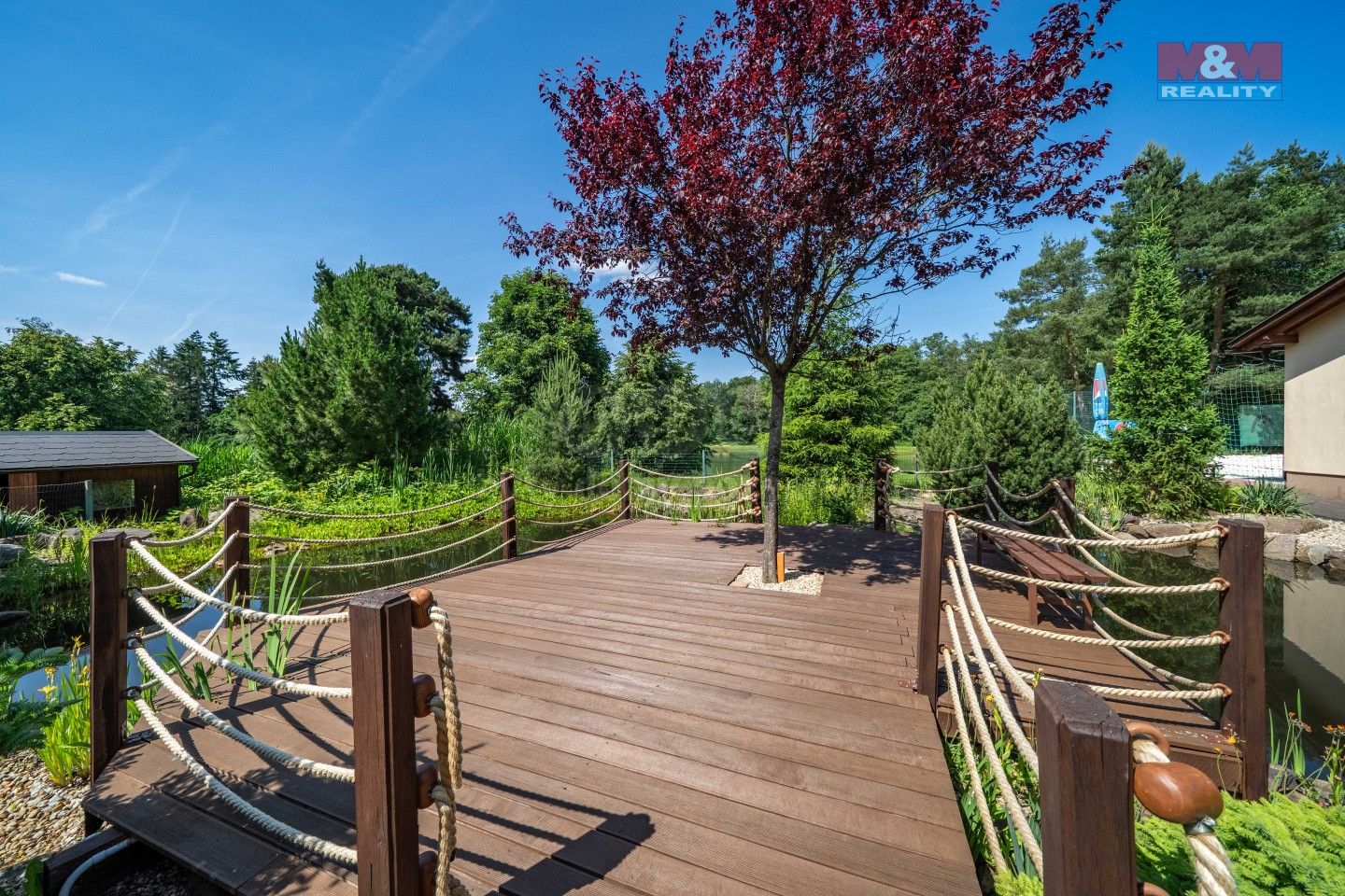 Pronájem nemovitosti 645 m² - foto 2