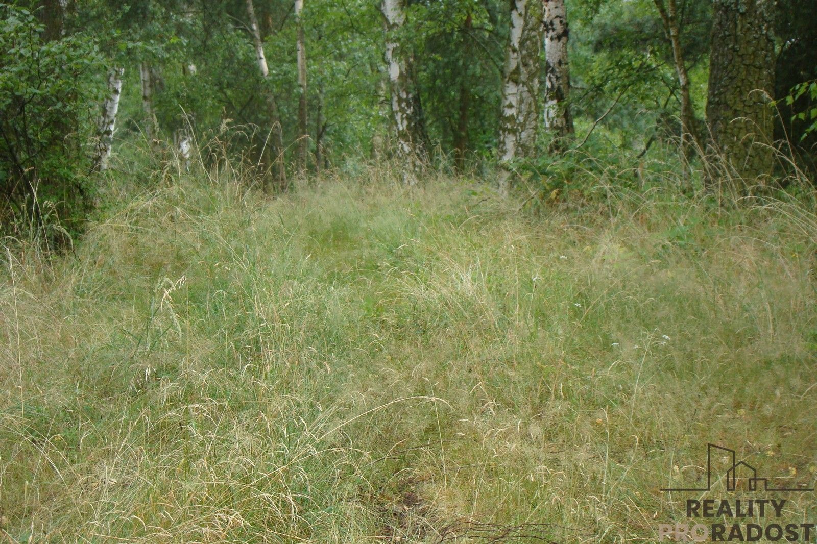 Prodej pozemku 2000 m² - foto 1