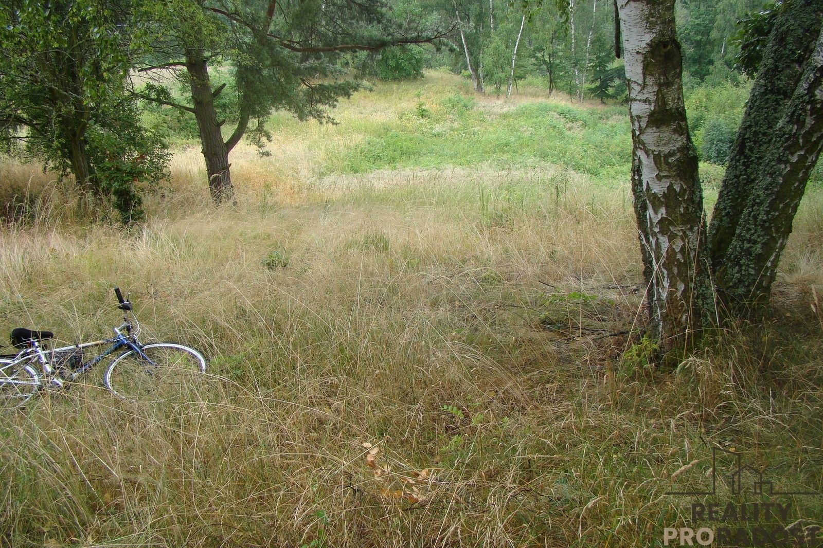 Prodej pozemku 2000 m² - foto 3