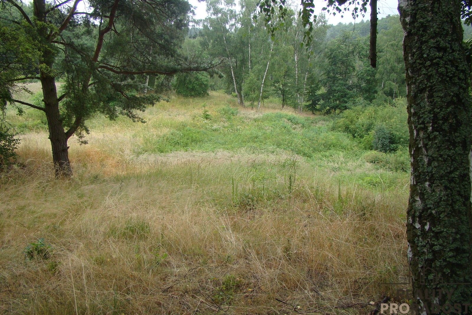 Prodej pozemku 2000 m² - foto 4