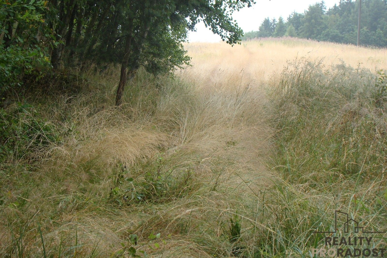 Prodej pozemku 2000 m² - foto 2