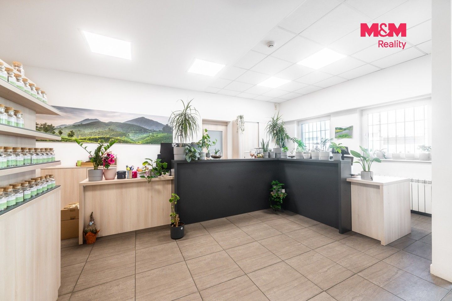 Prodej komerčního prostoru 2469 m² - foto 7