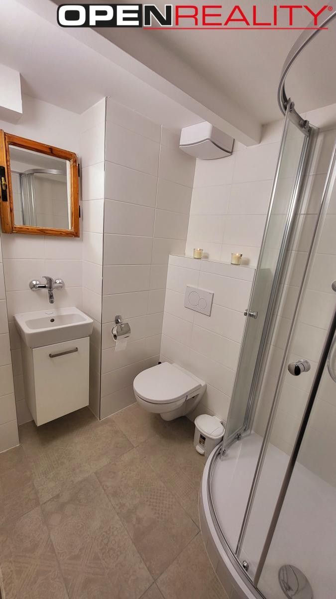 Prodej domu 360 m² - foto 14