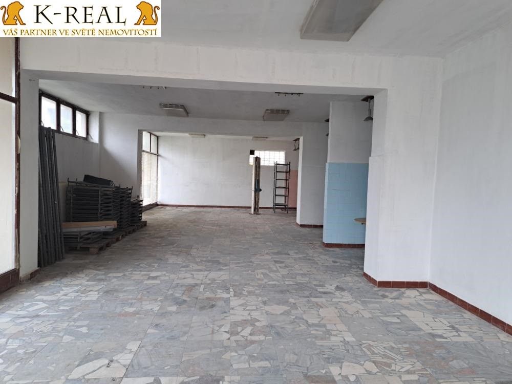 Pronájem komerčního prostoru 420 m² - foto 6
