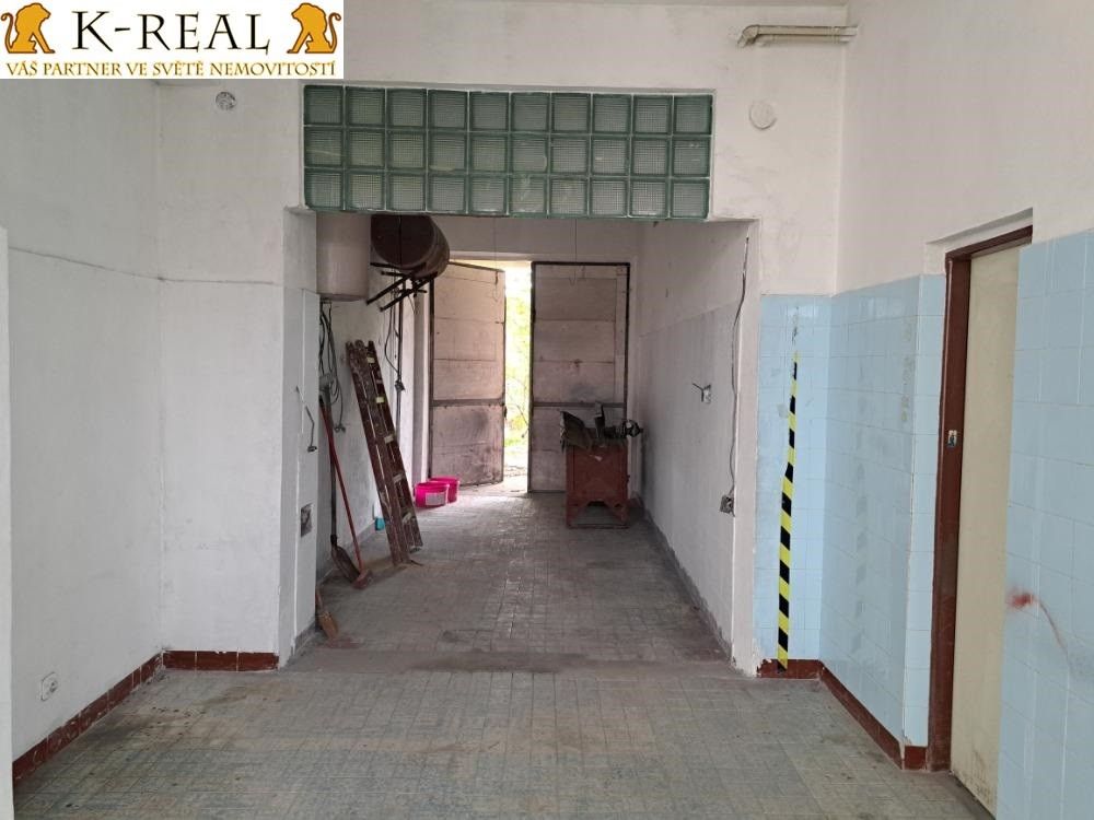 Pronájem komerčního prostoru 420 m² - foto 10