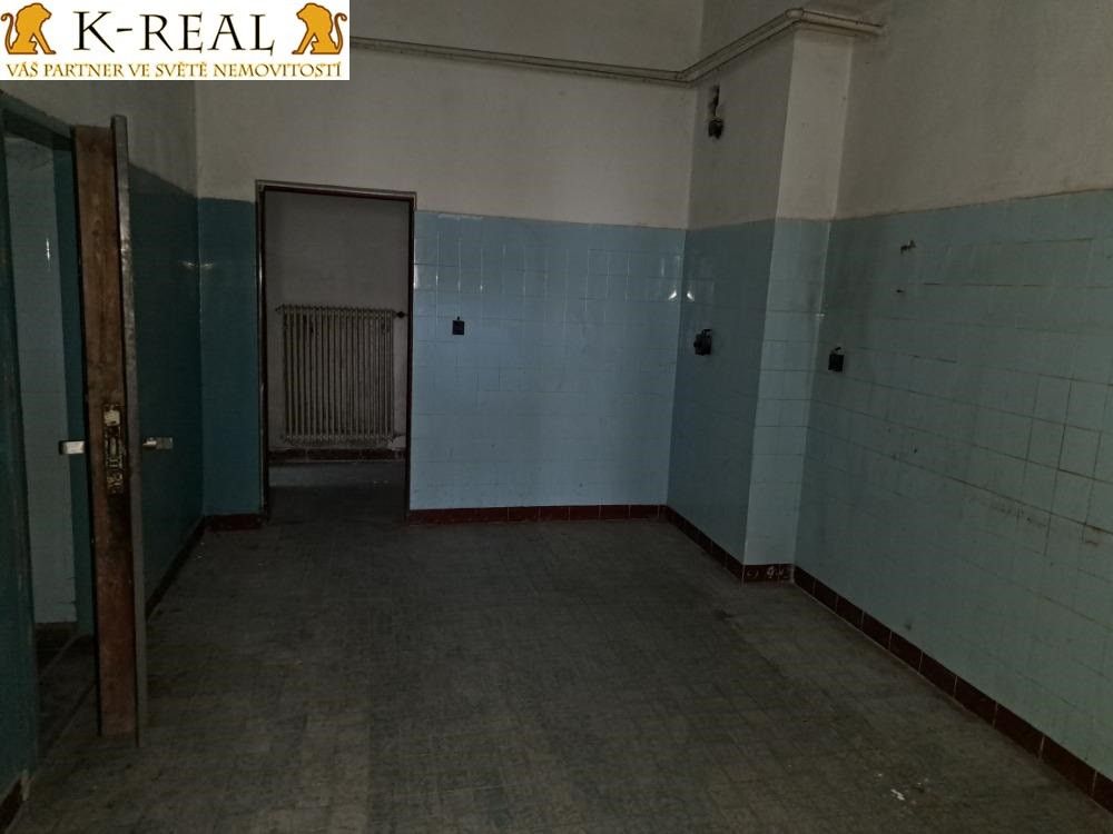 Pronájem komerčního prostoru 420 m² - foto 12