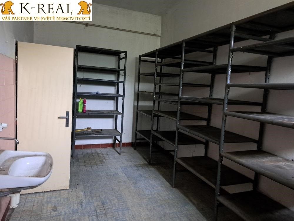 Pronájem komerčního prostoru 420 m² - foto 13