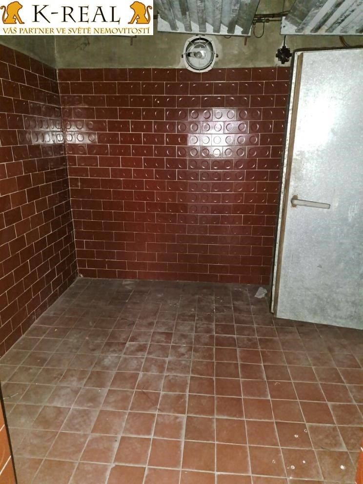 Pronájem komerčního prostoru 420 m² - foto 20