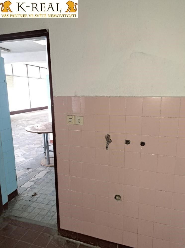 Pronájem komerčního prostoru 420 m² - foto 34