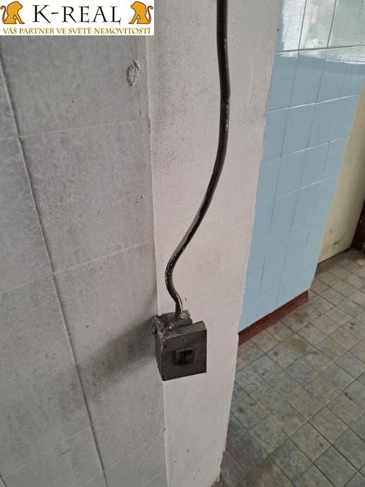 Pronájem komerčního prostoru 420 m² - foto 38