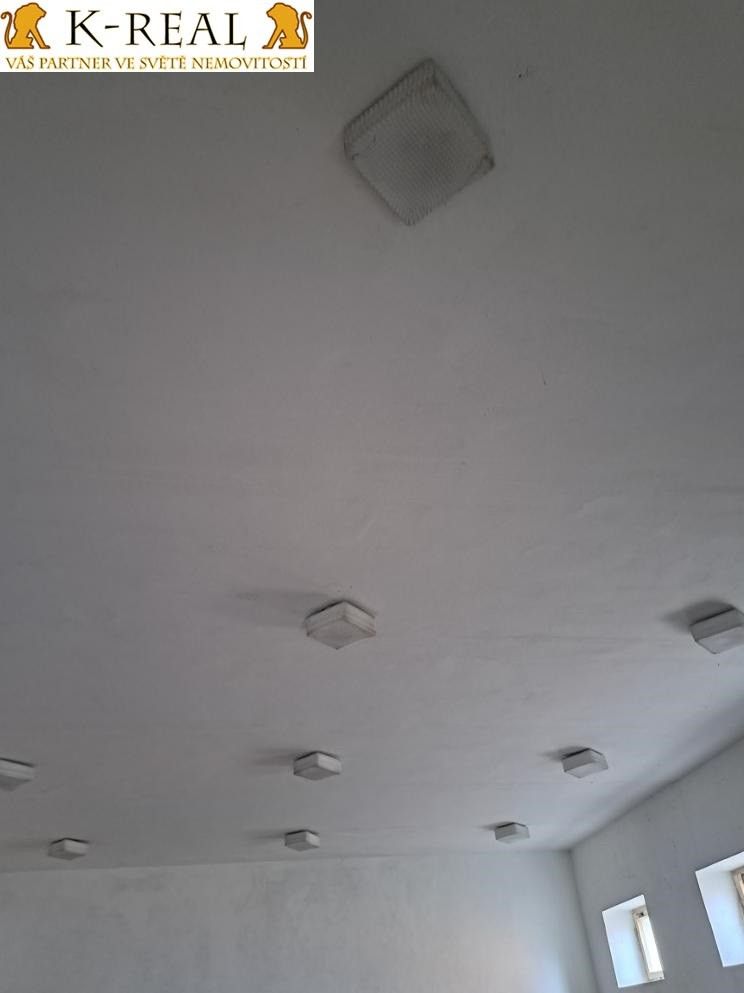 Pronájem komerčního prostoru 420 m² - foto 46