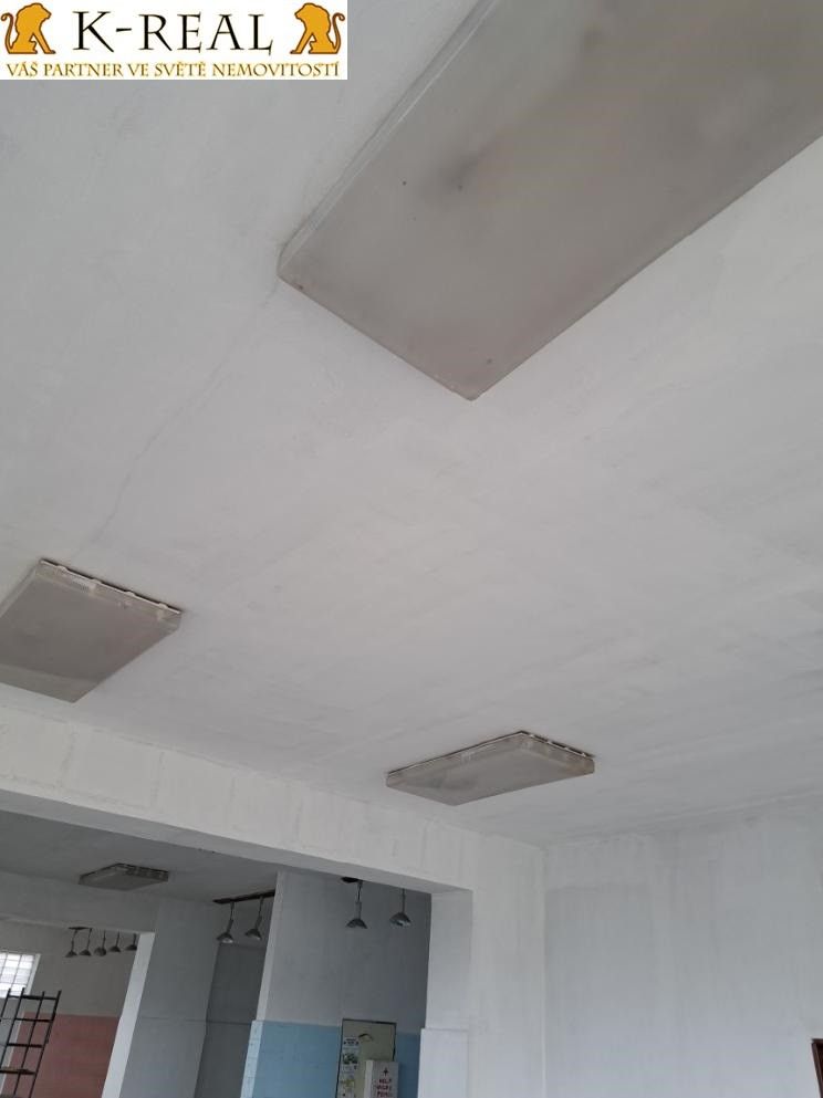 Pronájem komerčního prostoru 420 m² - foto 44