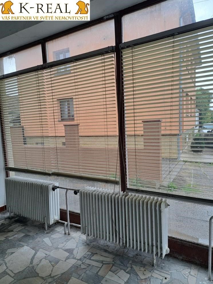 Pronájem komerčního prostoru 420 m² - foto 41