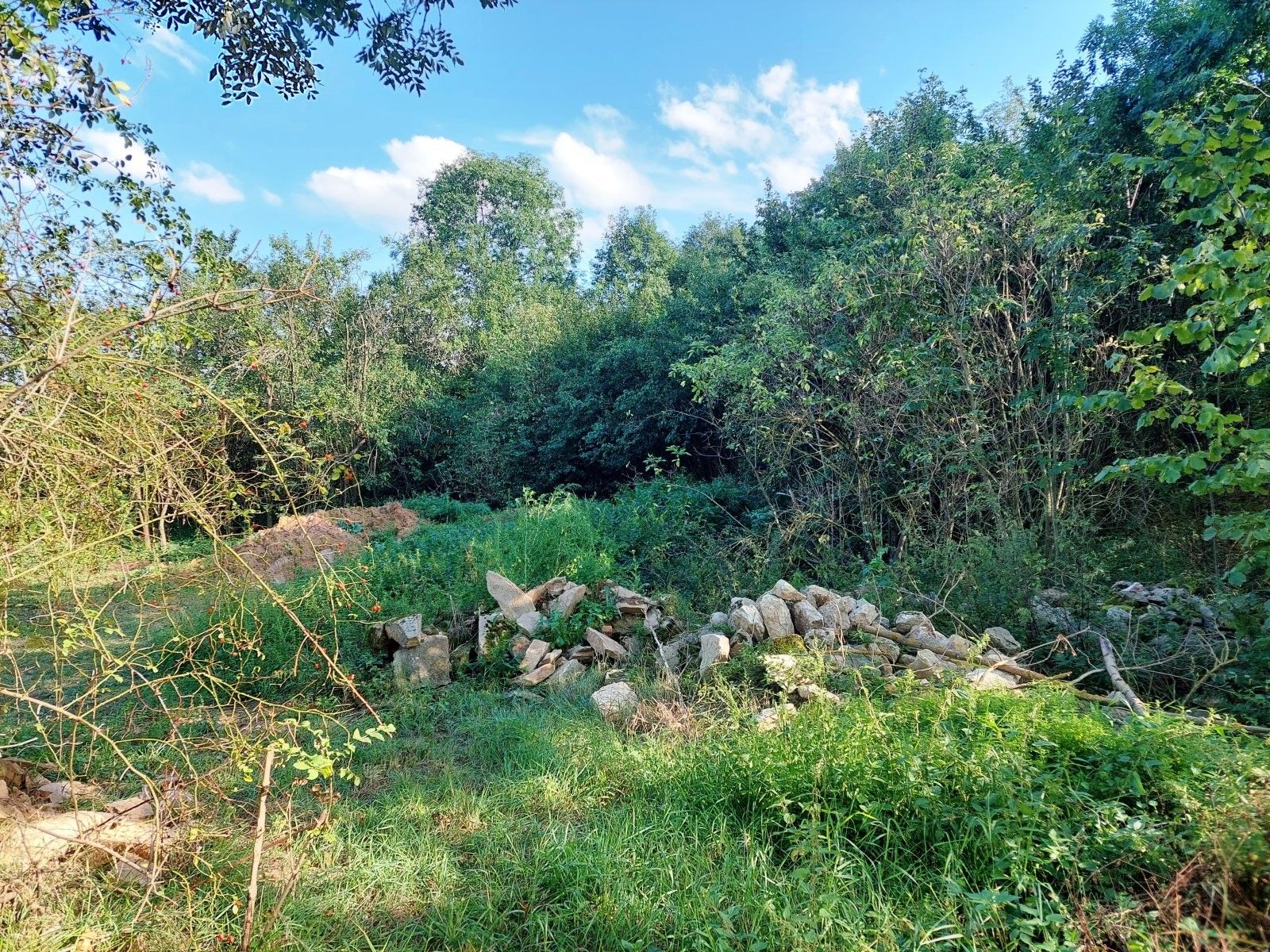 Prodej komerčního prostoru 250 m² - foto 12