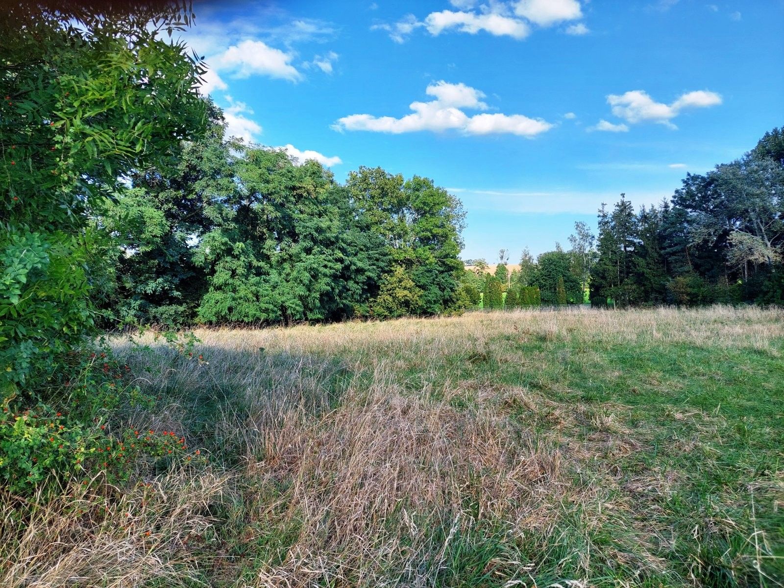 Prodej komerčního prostoru 250 m² - foto 15