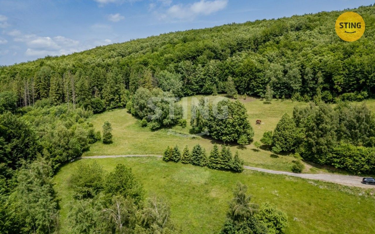 Prodej pozemku 22090 m² - foto 3