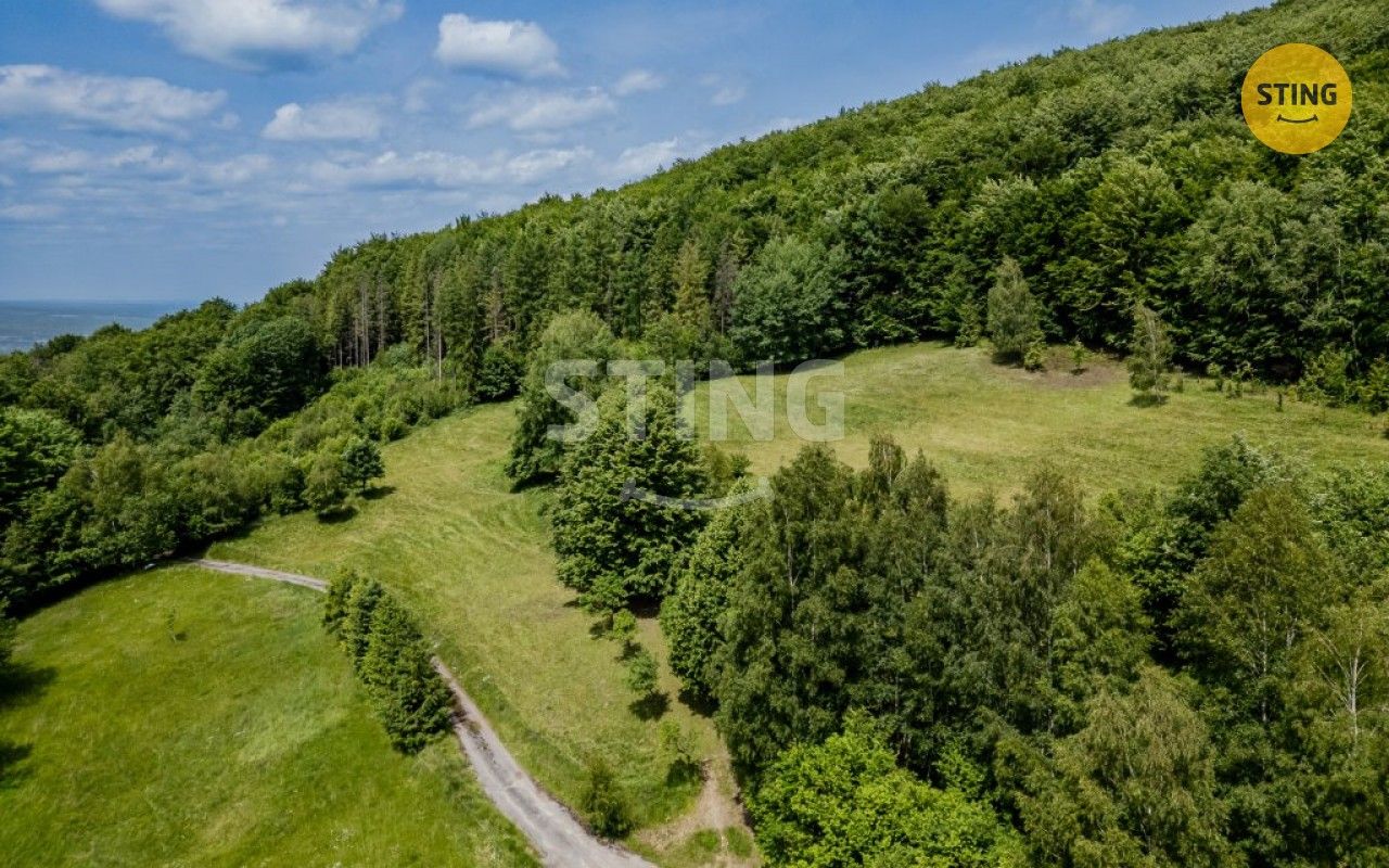 Prodej pozemku 22090 m² - foto 4