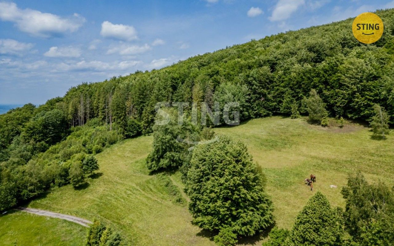 Prodej pozemku 22090 m² - foto 5