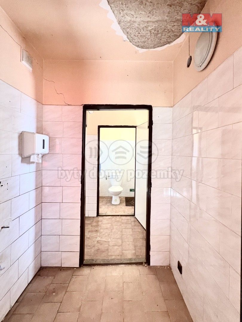 Prodej komerčního prostoru 300 m² - foto 9