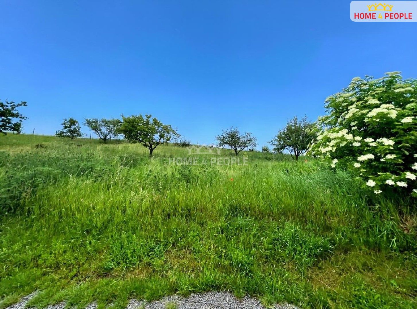 Prodej pozemku 1255 m² - foto 4