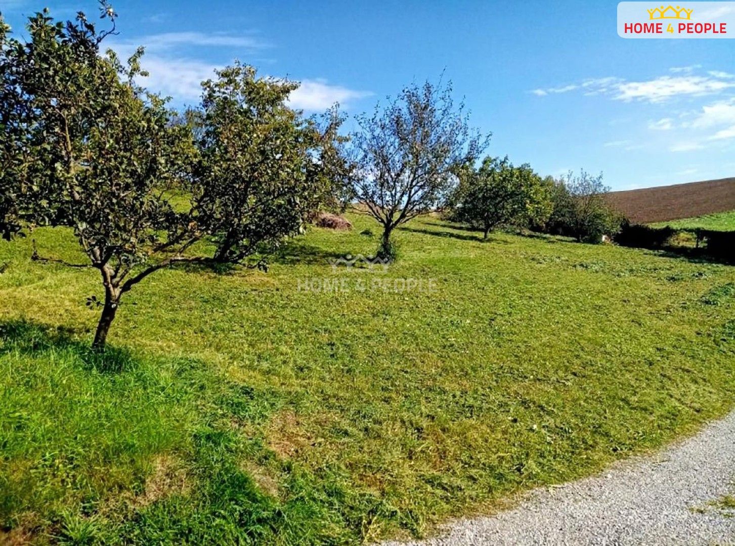 Prodej pozemku 1255 m² - foto 9