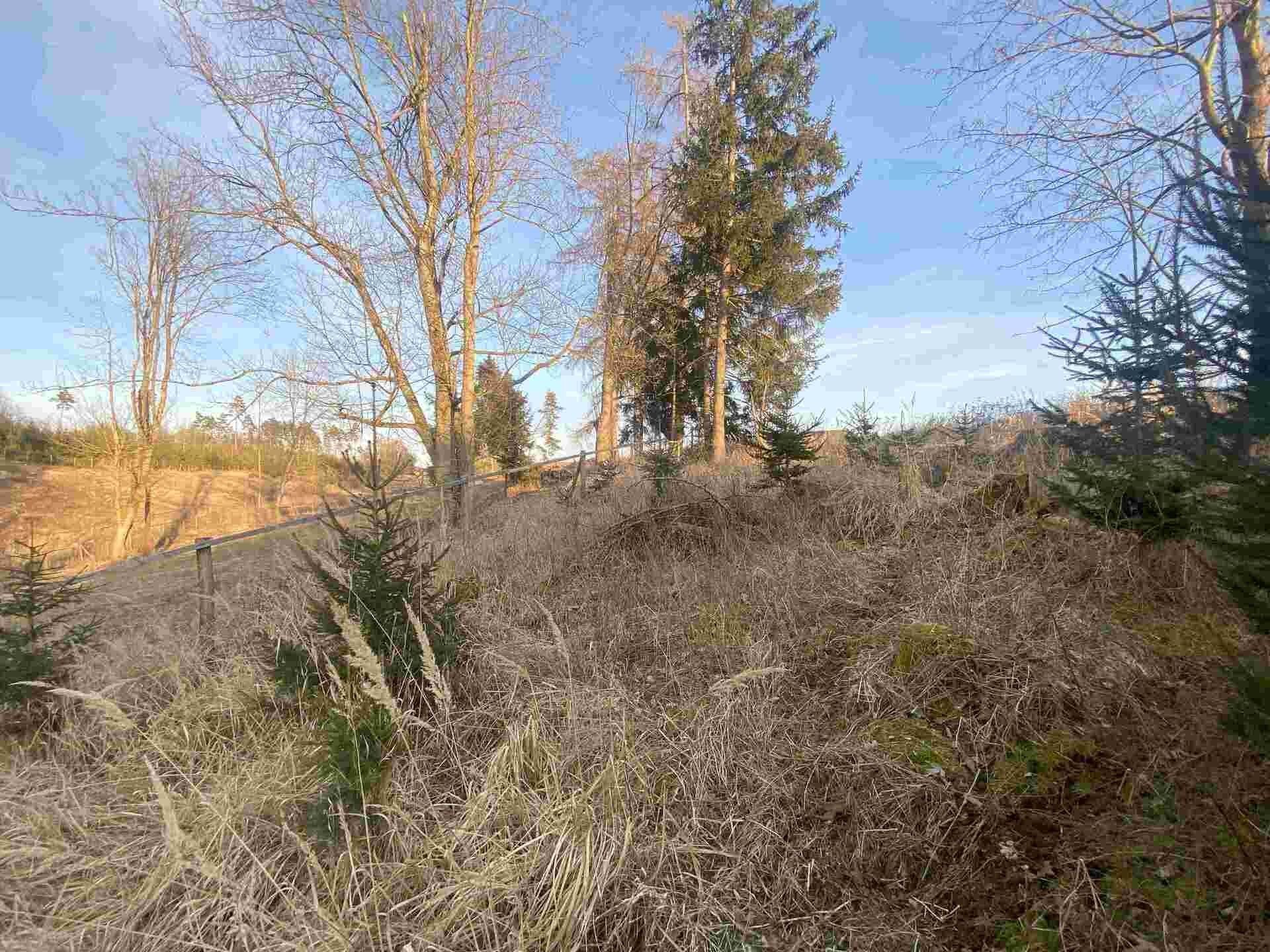 Prodej nemovitosti 5268 m² - foto 2
