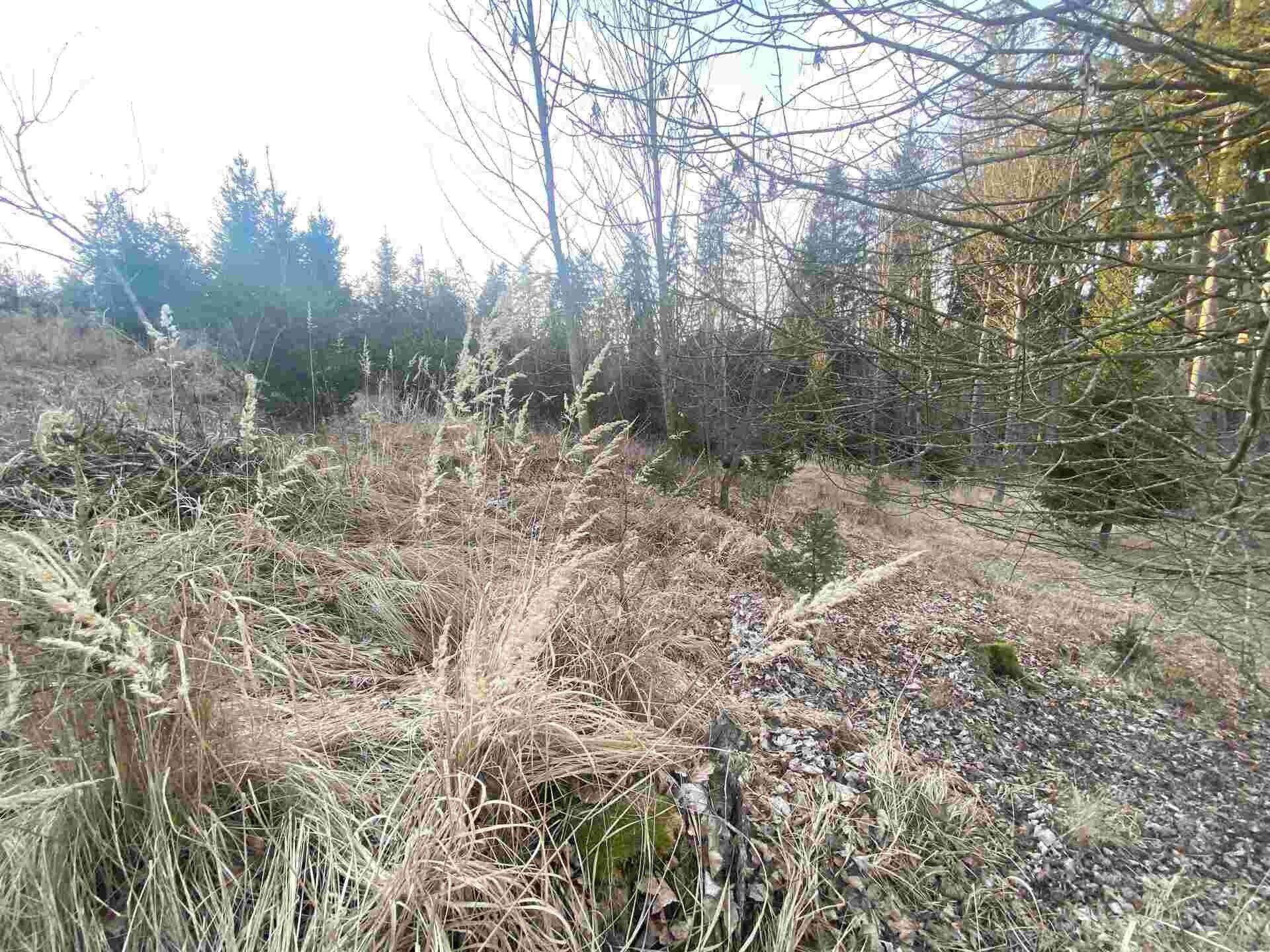 Prodej nemovitosti 5268 m² - foto 3