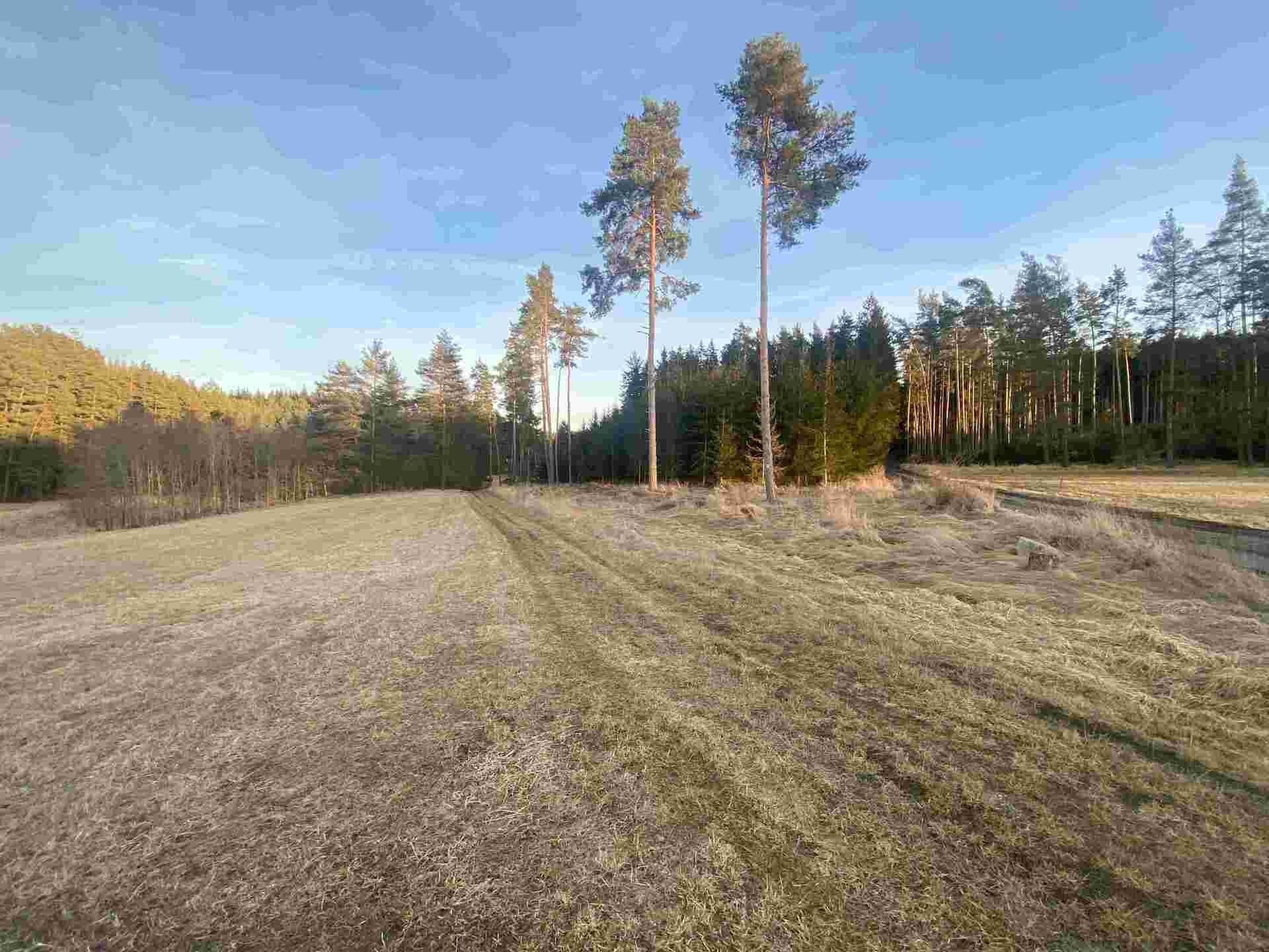 Prodej nemovitosti 5268 m² - foto 4
