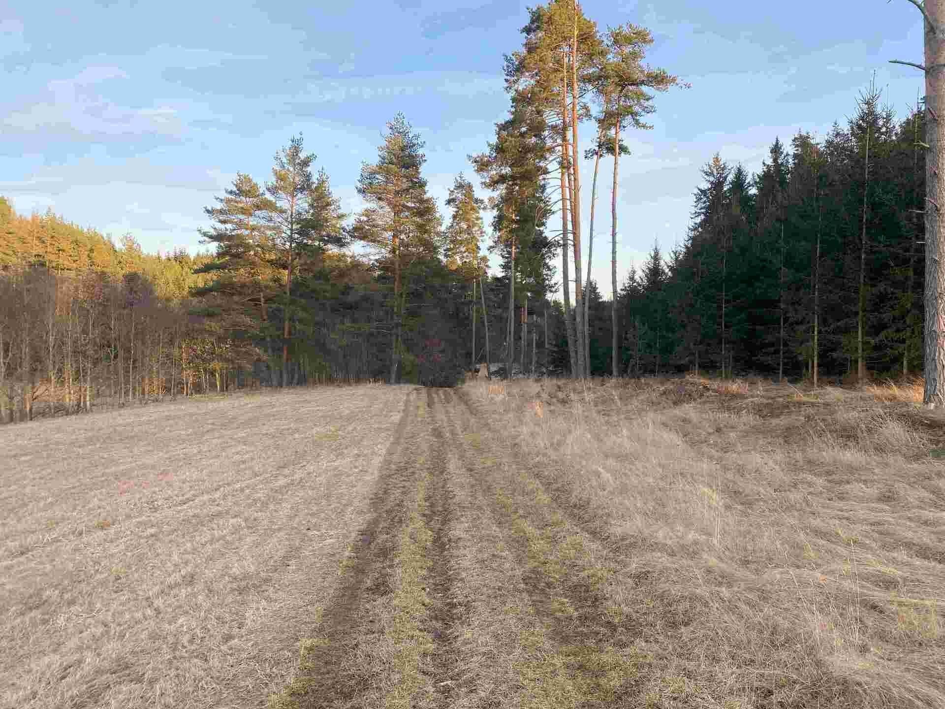 Prodej nemovitosti 5268 m² - foto 5
